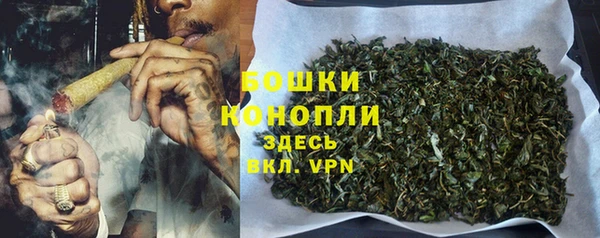 прущий лед Новозыбков