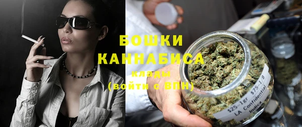 прущий лед Новозыбков