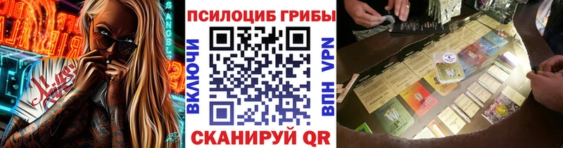 как найти   Холмск  mega ONION  Галлюциногенные грибы Cubensis 